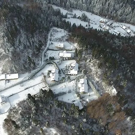 Villa Falsztyn