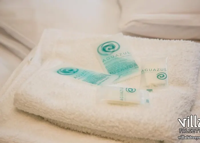 Villa Falsztyn 度假居 *