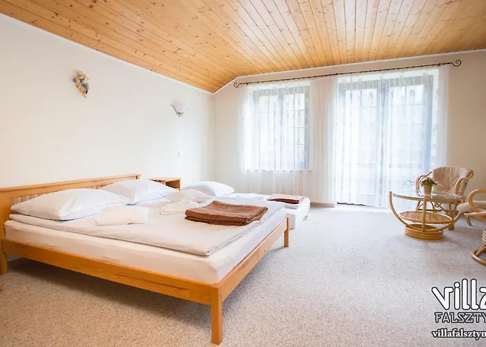 度假居 Villa Falsztyn